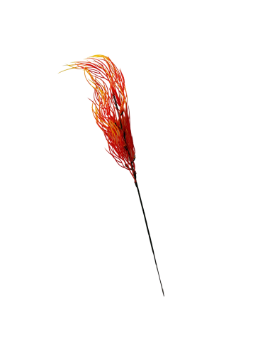 Branches Herbe de Corail Jaune-Orange x 5 - H49cm