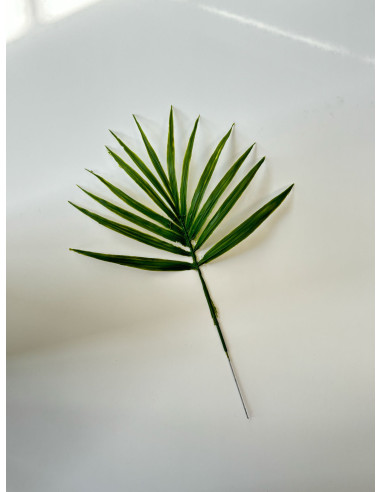 Feuilles de palmier Chamaerops artificielle x 5...