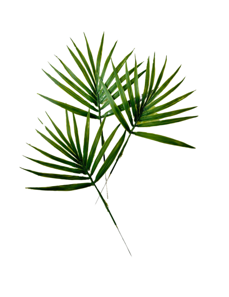 Feuilles de palmier Chamaerops artificielle x 5 -  H 44 cm D 32 cm
