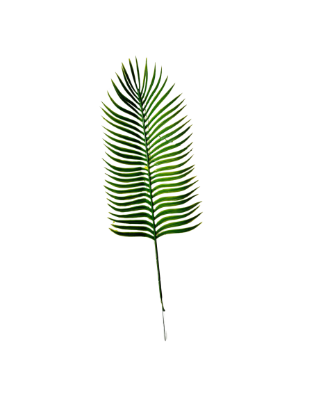 Feuilles de palmier cycas artificielle x 5 - H 57cm D 15 cm