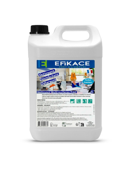 NETTOYANT PAE MULTI-SURFACES DESINFECTANT EFFICACE SENTEUR FRAICHEUR 5L- COLIS DE 4