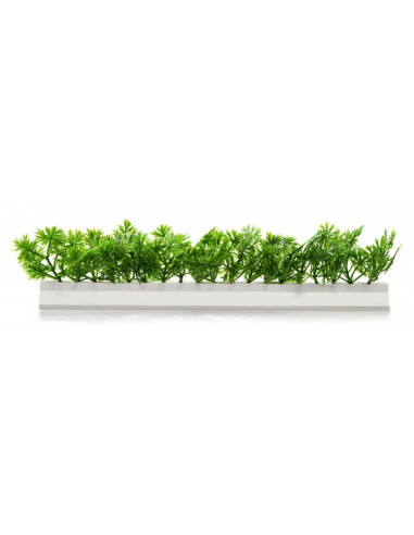 Barrettes modèle PERSIL - Boîte de 12 pièces