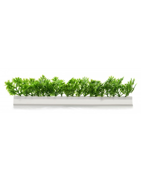 Barrettes modèle PERSIL - Boîte de 12 pièces