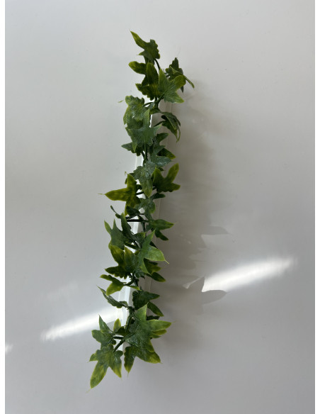 Barrettes modèle LIERRE - Boîte de 12 pièces