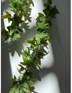 Barrettes modèle LIERRE - Boîte de 12 pièces 2