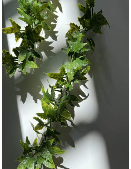 Barrettes modèle LIERRE - Boîte de 12 pièces