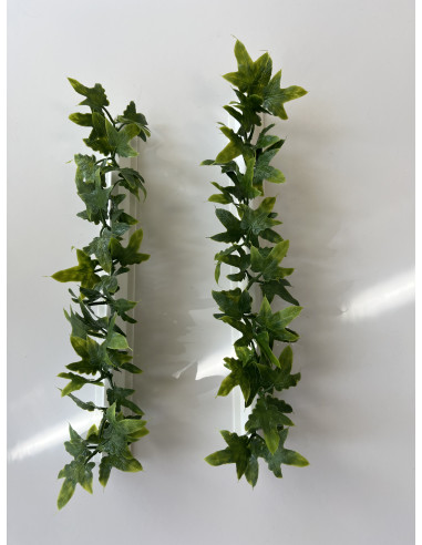 Barrettes modèle LIERRE - Boîte de 12 pièces