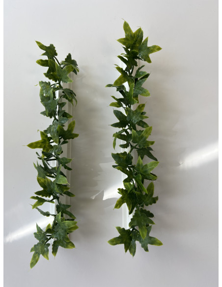 Barrettes modèle LIERRE - Boîte de 12 pièces