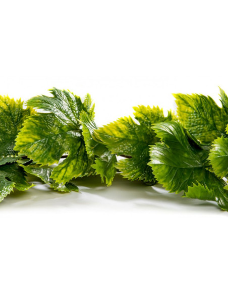 Guirlande de VIGNE VERTE - Longueur 180 cm - VENDU A L'UNITÉ