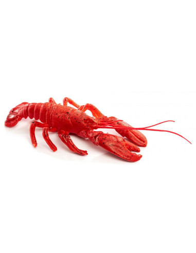 HOMARD