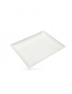 PLATEAU CANNE A SUCRE 32.5X26.5X2.3 CM (150 U) 2