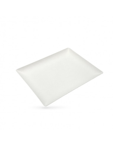 PLATEAU CANNE A SUCRE 32.5X26.5X2.3 CM (150 U)