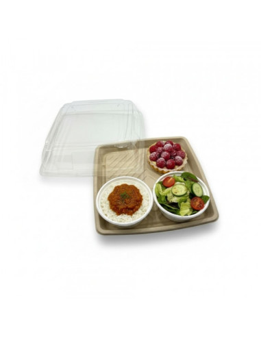 PLATEAU REPAS CARRE GAMME BIO PULPE VEGETALE...