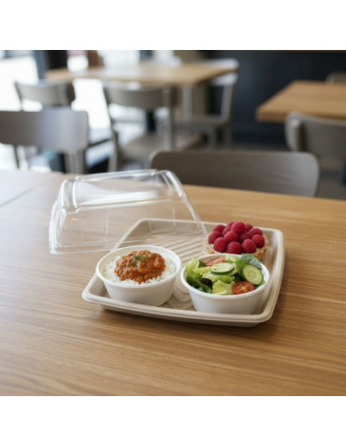 PLATEAU REPAS CARRE GAMME BIO PULPE VEGETALE...