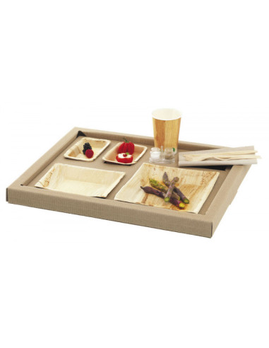 PLATEAU REPAS KIT 2 ASSIETTES/2 RAMEQUINS/COUV....