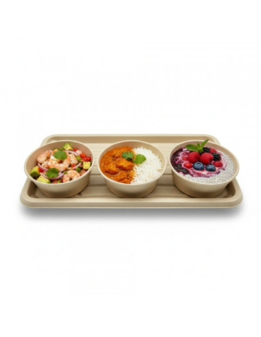 PLATEAU REPAS RECTANGULAIRE GAMME BIO 35X24X2...