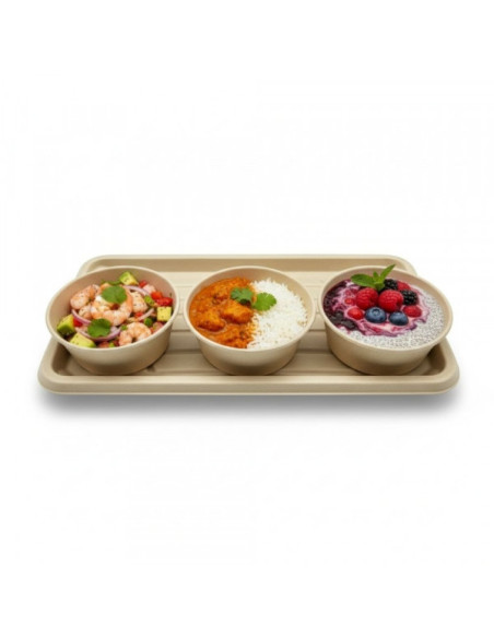 PLATEAU REPAS RECTANGULAIRE GAMME BIO 35X24X2 CM (COUV C4G541) (150 U)